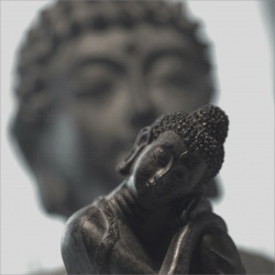 Buddha's daughter.jpg