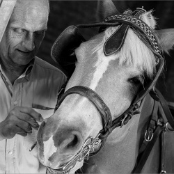 Zwei sanfte Wesen.jpg