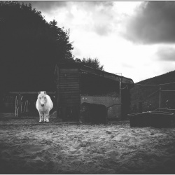 .altes Maedchen..jpg