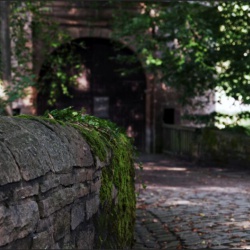 Torhaus Rombergpark Dortmund.jpg