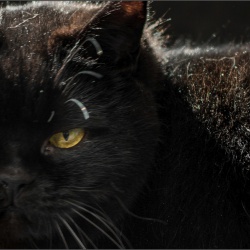 _1MM6391-2 Schnitt.jpg