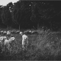 .achtsame Hueter..jpg